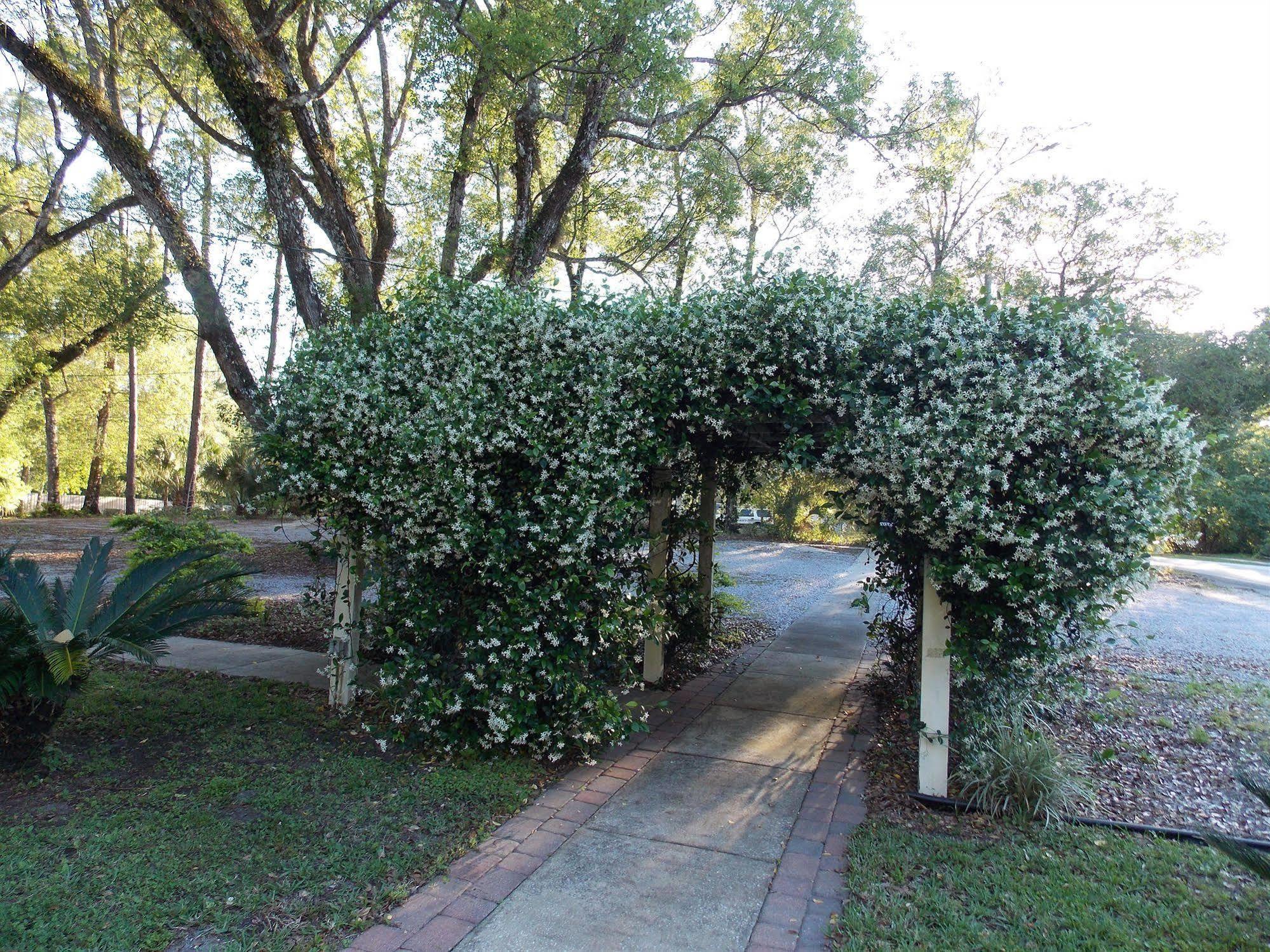 The Ann Stevens House Cassadaga Exterior foto